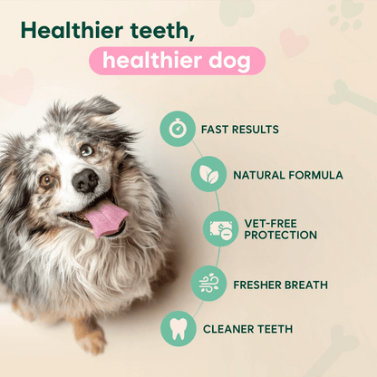 Dental Spray - Stop Bad Breath & Tartar at the Source